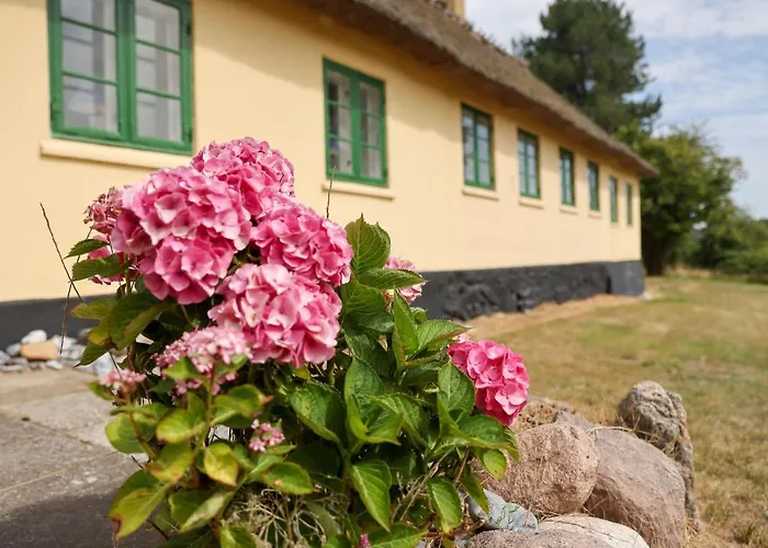 Casa vacanze Sandet *